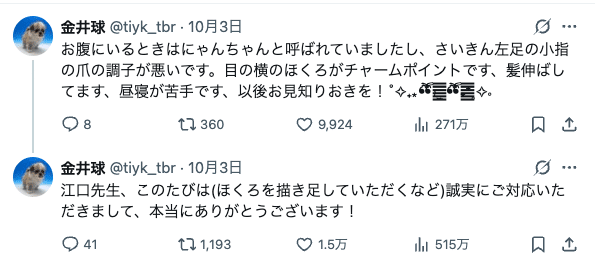 金井球x1